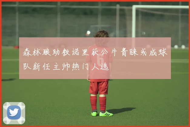 森林狼助教诺里获公牛青睐或成球队新任主帅热门人选