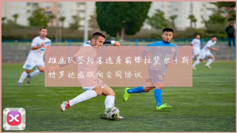 雄鹿队签约落选秀前锋拉斐尔卡斯特罗达成双向合同协议