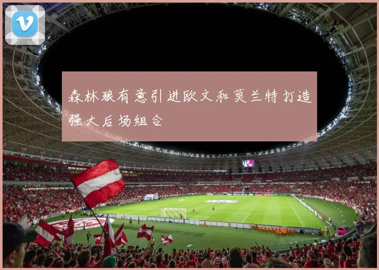 森林狼有意引进欧文和莫兰特打造强大后场组合