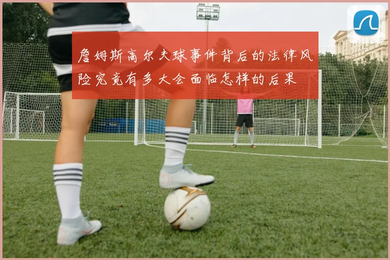 詹姆斯高尔夫球事件背后的法律风险究竟有多大会面临怎样的后果