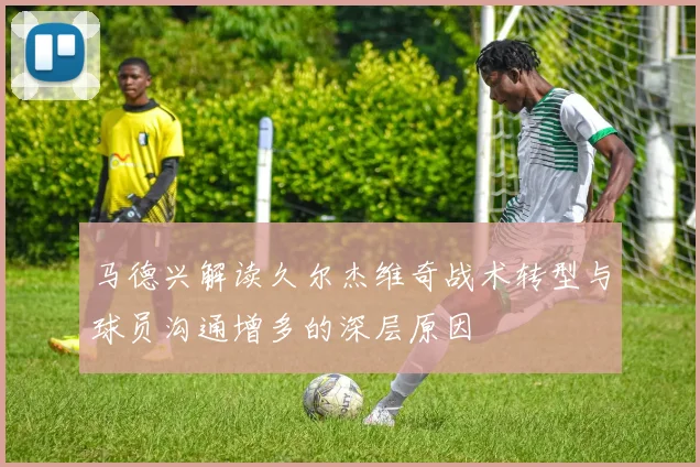 马德兴解读久尔杰维奇战术转型与球员沟通增多的深层原因